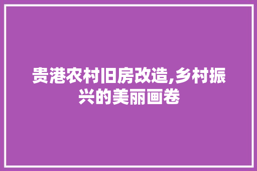 贵港农村旧房改造,乡村振兴的美丽画卷 建筑设计