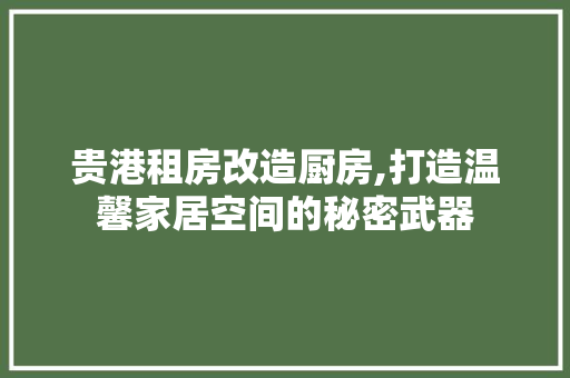 贵港租房改造厨房,打造温馨家居空间的秘密武器 墙面装饰