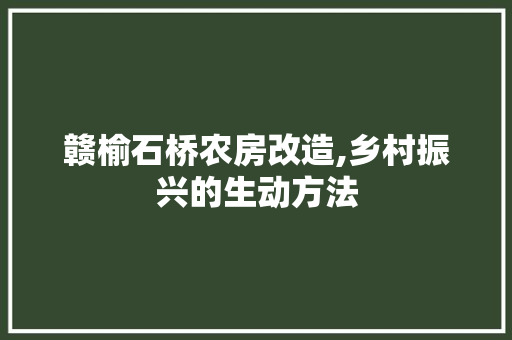 赣榆石桥农房改造,乡村振兴的生动方法 庭院装修