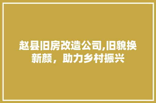 赵县旧房改造公司,旧貌换新颜，助力乡村振兴