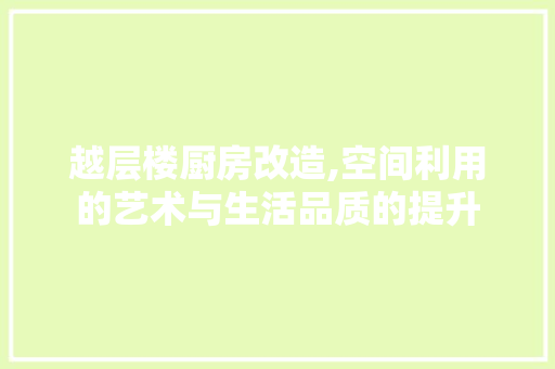 越层楼厨房改造,空间利用的艺术与生活品质的提升 建筑设计 越层楼厨房改造,空间利用的艺术与生活品质的提升 建筑设计