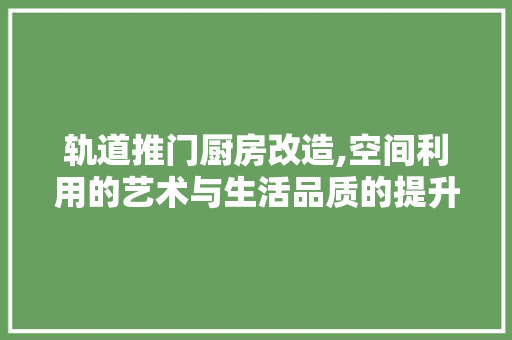 轨道推门厨房改造,空间利用的艺术与生活品质的提升