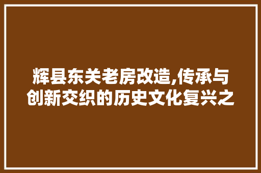 辉县东关老房改造,传承与创新交织的历史文化复兴之路