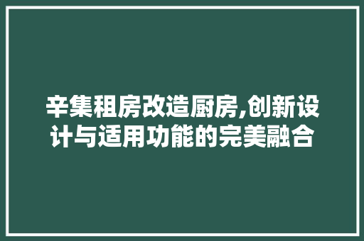 辛集租房改造厨房,创新设计与适用功能的完美融合 庭院装修