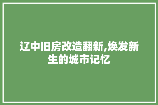 辽中旧房改造翻新,焕发新生的城市记忆 景观设计