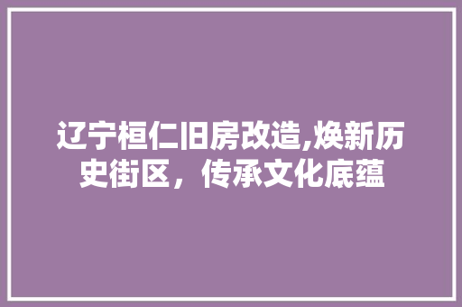 辽宁桓仁旧房改造,焕新历史街区，传承文化底蕴 建筑设计