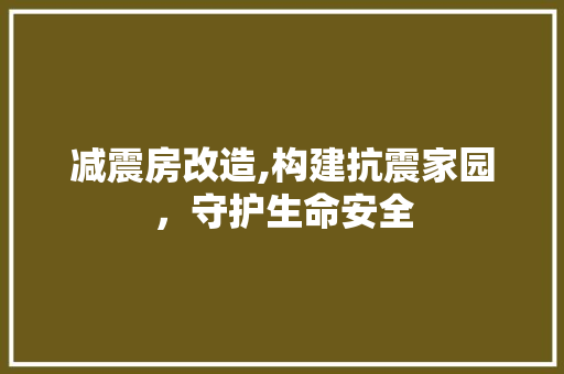 减震房改造,构建抗震家园，守护生命安全 景观设计