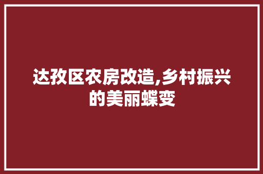 达孜区农房改造,乡村振兴的美丽蝶变 装修材料