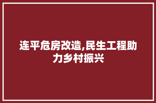 连平危房改造,民生工程助力乡村振兴