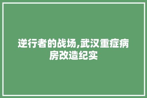 逆行者的战场,武汉重症病房改造纪实 庭院装修