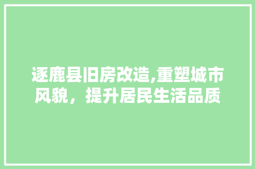 逐鹿县旧房改造,重塑城市风貌,提升居民生活品质 装修材料 逐鹿县旧房改造,重塑城市风貌,提升居民生活品质 装修材料