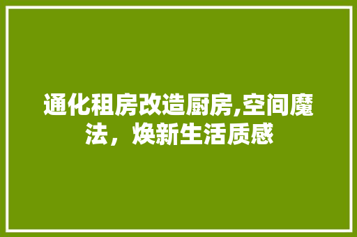 通化租房改造厨房,空间魔法，焕新生活质感 装修攻略