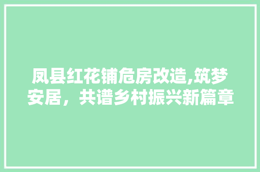 凤县红花铺危房改造,筑梦安居，共谱乡村振兴新篇章