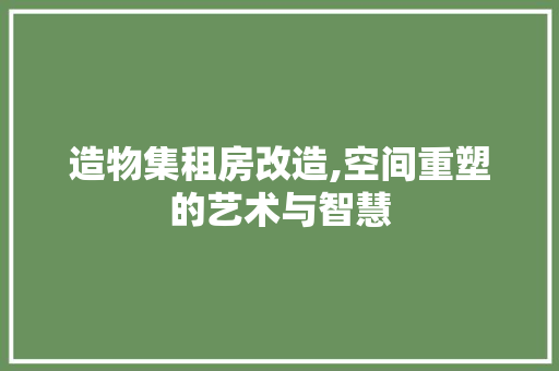 造物集租房改造,空间重塑的艺术与智慧 庭院装修