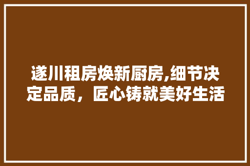 遂川租房焕新厨房,细节决定品质,匠心铸就美好生活 建筑设计 遂川租房焕新厨房,细节决定品质,匠心铸就美好生活 建筑设计