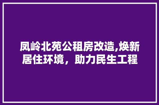 凤岭北苑公租房改造,焕新居住环境，助力民生工程