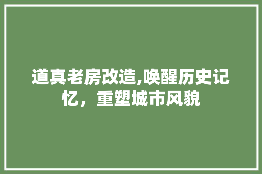 道真老房改造,唤醒历史记忆，重塑城市风貌
