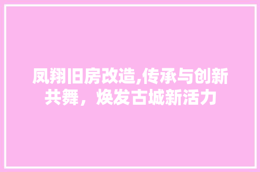 凤翔旧房改造,传承与创新共舞，焕发古城新活力 装修材料
