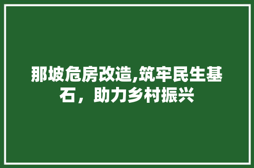 那坡危房改造,筑牢民生基石，助力乡村振兴 景观设计