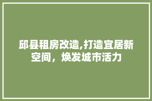 邱县租房改造,打造宜居新空间，焕发城市活力