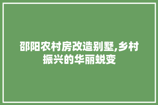 邵阳农村房改造别墅,乡村振兴的华丽蜕变