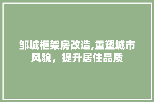 邹城框架房改造,重塑城市风貌，提升居住品质