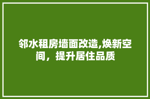邻水租房墙面改造,焕新空间，提升居住品质 装修材料