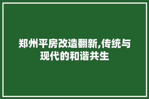 郑州平房改造翻新,传统与现代的和谐共生