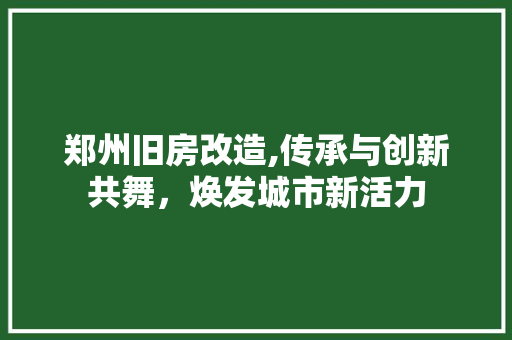 郑州旧房改造,传承与创新共舞，焕发城市新活力