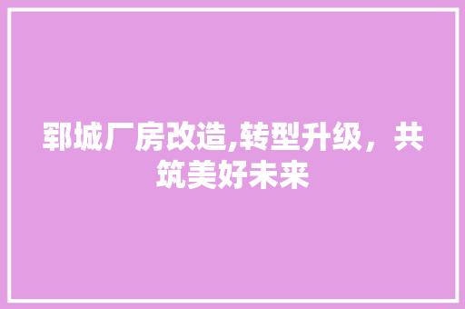 郓城厂房改造,转型升级，共筑美好未来 装修攻略