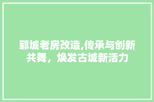 郓城老房改造,传承与创新共舞，焕发古城新活力 门窗装修
