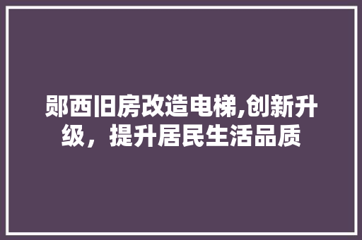 郧西旧房改造电梯,创新升级，提升居民生活品质
