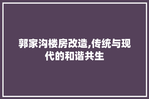 郭家沟楼房改造,传统与现代的和谐共生 装修材料