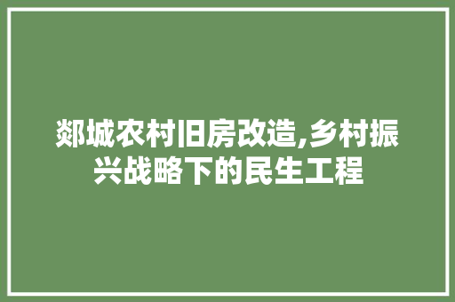 郯城农村旧房改造,乡村振兴战略下的民生工程 墙面装饰