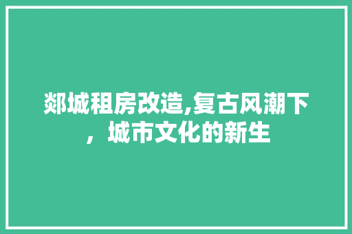 郯城租房改造,复古风潮下，城市文化的新生 墙面装饰