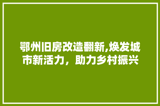 鄂州旧房改造翻新,焕发城市新活力，助力乡村振兴 装修材料