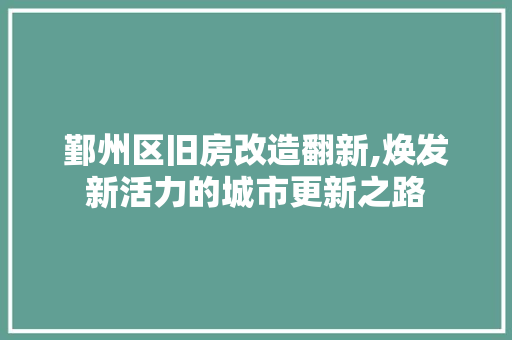 鄞州区旧房改造翻新,焕发新活力的城市更新之路 门窗装修