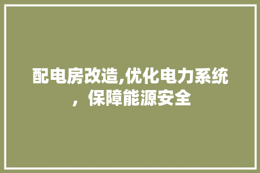 配电房改造,优化电力系统，保障能源安全