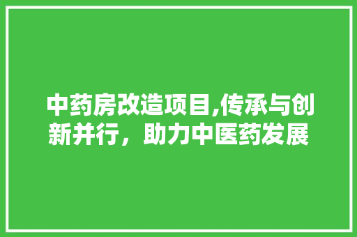 中药房改造项目,传承与创新并行，助力中医药发展