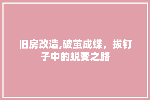旧房改造,破茧成蝶，拔钉子中的蜕变之路 地面装修