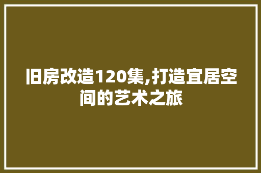 旧房改造120集,打造宜居空间的艺术之旅 装修攻略