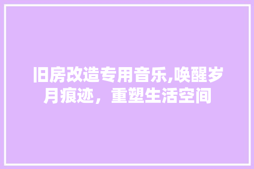 旧房改造专用音乐,唤醒岁月痕迹，重塑生活空间 庭院装修