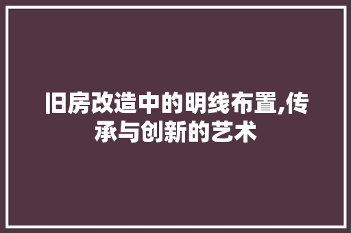 旧房改造中的明线布置,传承与创新的艺术 装修材料