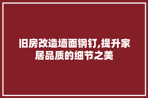 旧房改造墙面钢钉,提升家居品质的细节之美 墙面装饰