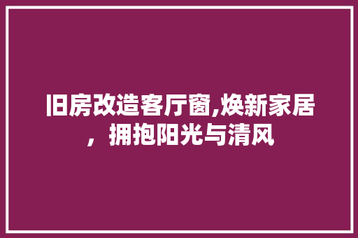 旧房改造客厅窗,焕新家居，拥抱阳光与清风