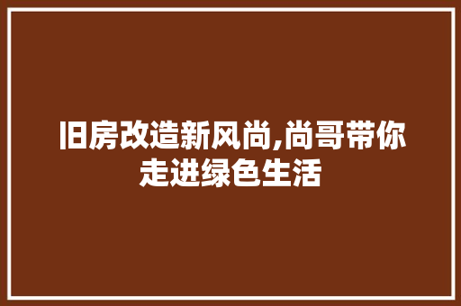 旧房改造新风尚,尚哥带你走进绿色生活 景观设计