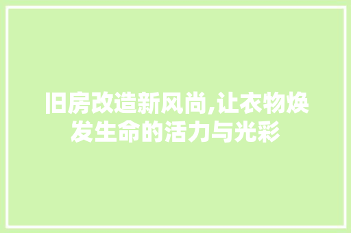 旧房改造新风尚,让衣物焕发生命的活力与光彩 装修材料