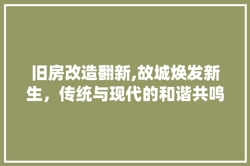 旧房改造翻新,故城焕发新生，传统与现代的和谐共鸣 建筑设计