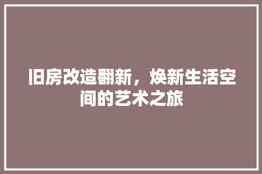 旧房改造翻新，焕新生活空间的艺术之旅 墙面装饰