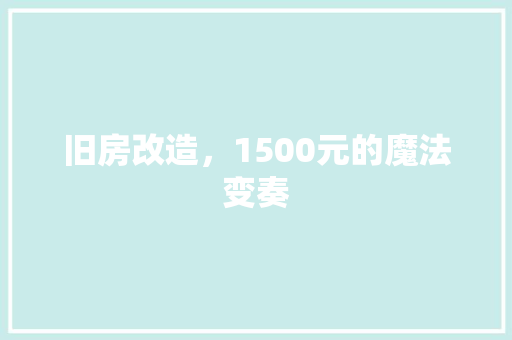 旧房改造，1500元的魔法变奏 建筑设计